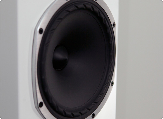 Fyne Audio F501 - cecha 1